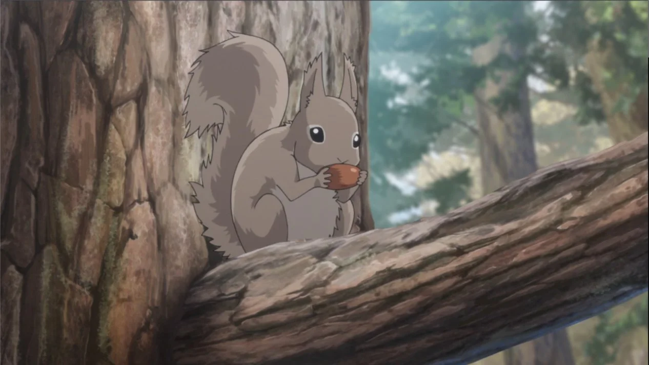 Anime Squirrel