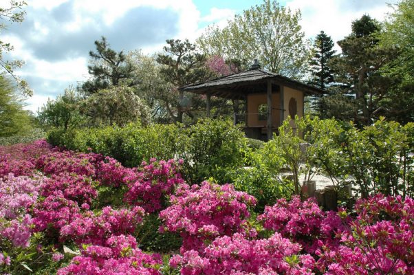 Malott Japanese Garden